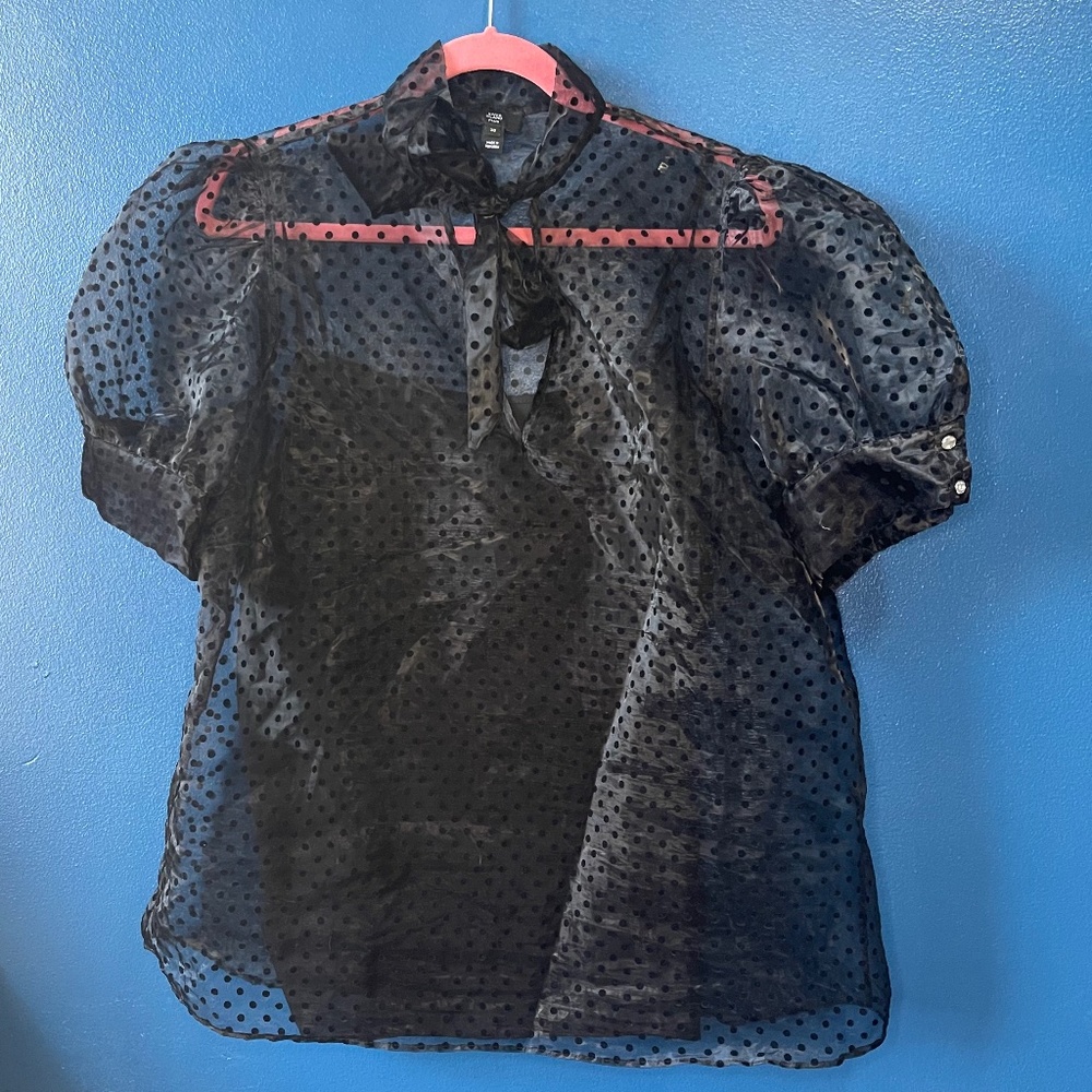 Sheer Velvet Dotted Puff Sleeve Top with Neck Tie